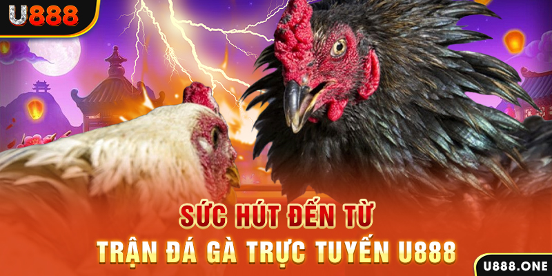 68 win đá gà trực tiếp c1