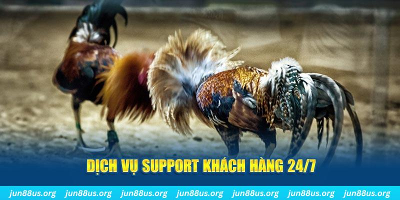 68 win ÁT CHỦ BÀI GIÀNH LẤY ZHUANG NIUNIU ( XEM 4 LÁ )