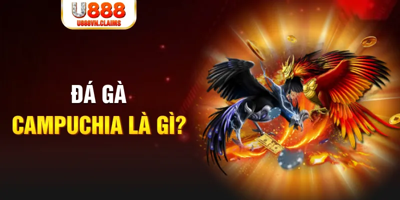 68 win bắn cá vàng h5