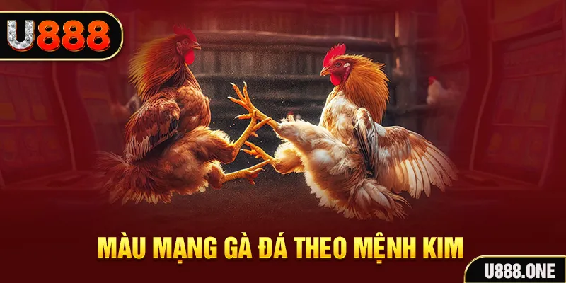 68 win Cỡ bảy