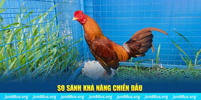 68 win CQ9 Điện Tử