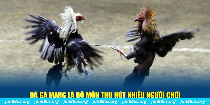 68 win bắn cá au88