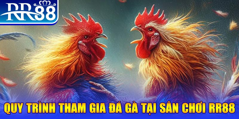 68 win đá gà cam 67