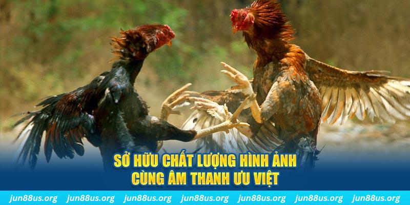 68 win PP Điện Tử