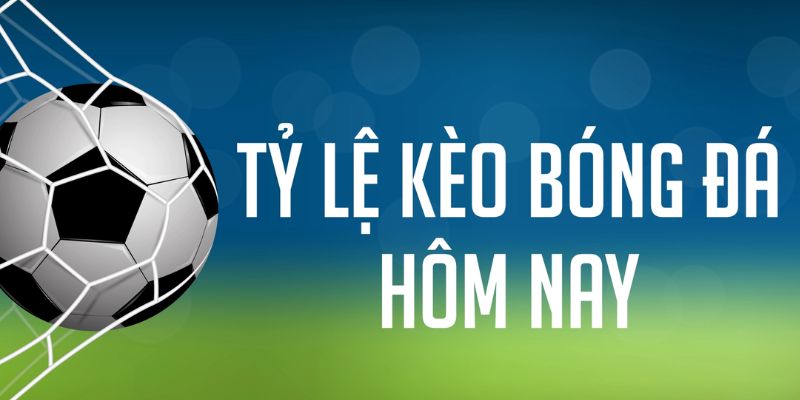 68 win gà chọi c1 mới nhất