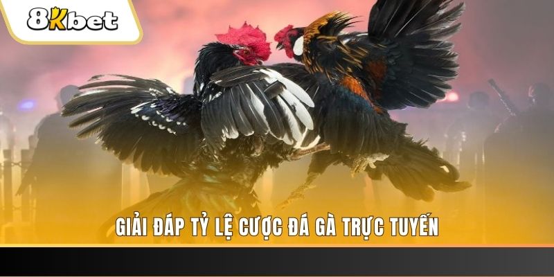 68 win xổ số đài miền trung