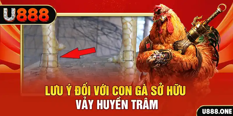 68 win kết quả xổ số miền nam hôm nay