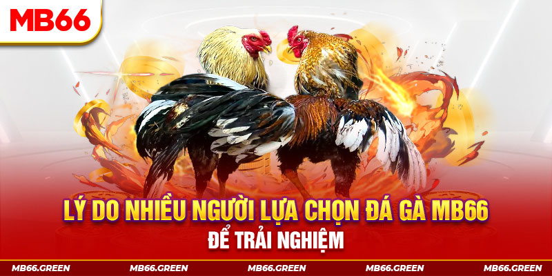 68 win xổ số miền bắc thứ bảy hàng tuần