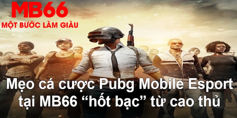 68 win VA Bắn cá