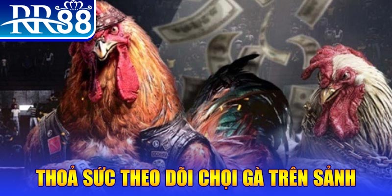 68 win trực tiếp đá gà c1