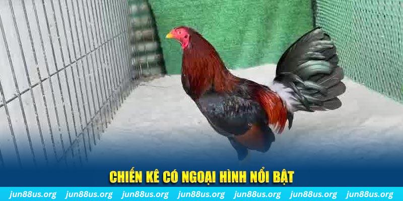 68 win game nổ hũ là gì
