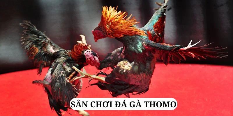 68 win trực tiếp xổ số miền bắc